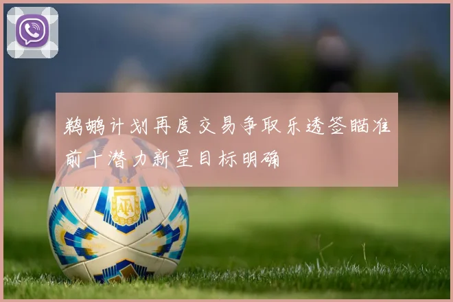 鹈鹕计划再度交易争取乐透签瞄准前十潜力新星目标明确