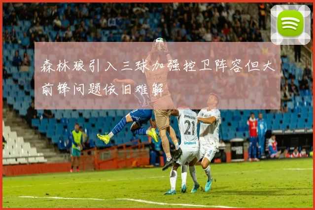 森林狼引入三球加强控卫阵容但大前锋问题依旧难解