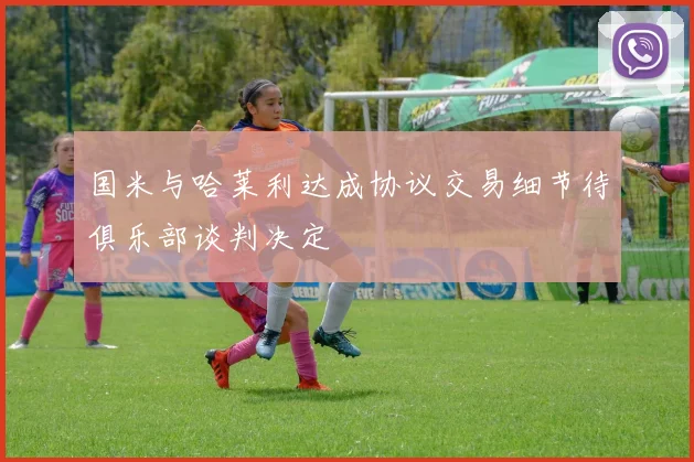 国米与哈莱利达成协议交易细节待俱乐部谈判决定
